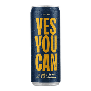 Yes You Can Dark & Stormy 4-pack